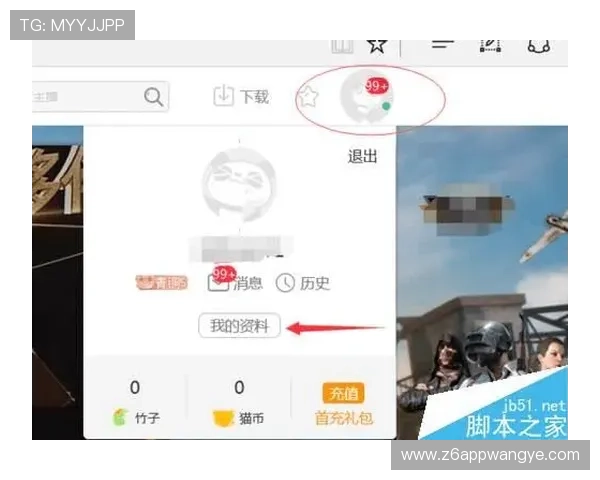 尊龙网页版的支付方式解析，你的资金安全吗