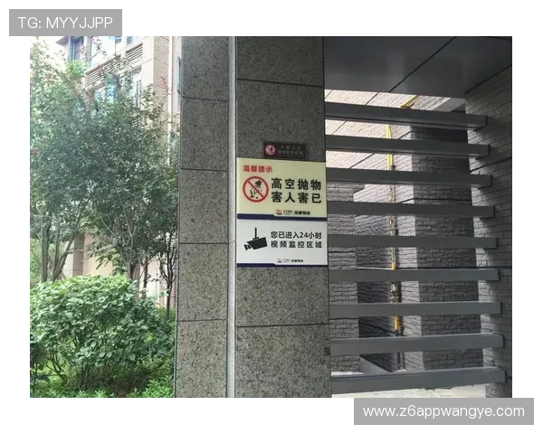 尊龙网站入口安全指南，保障您的账号信息安全与顺畅体验