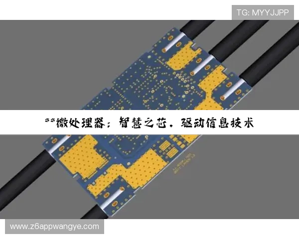 深入了解尊龙凯时网页的用户界面与操作指南